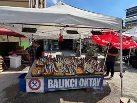 Balıkçı esnafından yeni sezon müjdesi, "Bu sene denizden balık fışkıracak"
