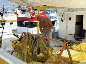 Balıkçılar yeni sezona hazır: Rumeli Feneri’ndeki balıkçılar bu yıl palamuttan umutlu
