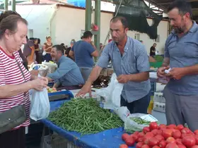 Balıkesir Burhaniye de organik ürünler pazarı kuruldu
