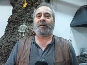 Balıkesir’de 1620 tarihi meşeye özel koruma
