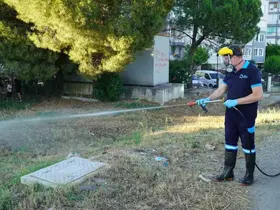 Balıkesir’de vektörle mücadelede tam zamanlı mesai

