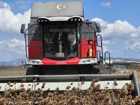 Bandırma’da kaymakam tarlaya indi, ayçiçeği hasadına katıldı
