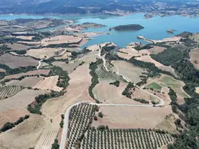 Baraj çevresi bal ormanına dönüşüyor
