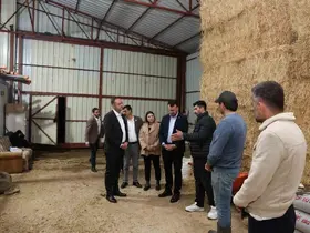 Başkan Dere, şap hastalığından mağdur olan aileleri yalnız bırakmadı
