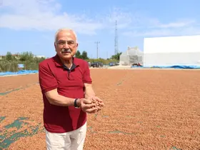 Başkan Güler: "Fındığa hem bilimsel hem teknik yaklaşıyoruz"

