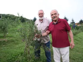 Başkan Güler: "Hem üretime hem de alıma destek veriyoruz"
