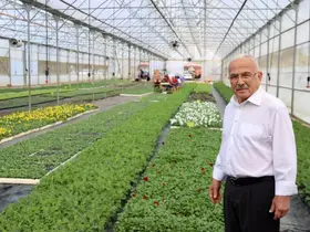 Başkan Güler: "Kendi çiçeklerimizi üretip, ekonomimize katkı sağlıyoruz"
