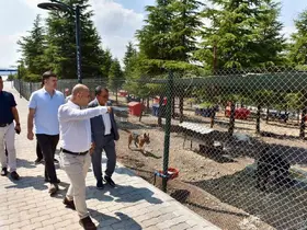 Başkan Hakan Şehirli Hayvan Bakımevi’ni ziyaret etti
