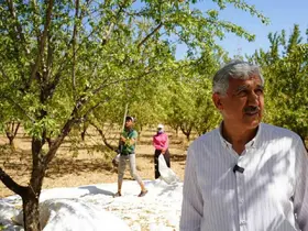 Başkan Hallaç’tan 1 Mayıs Emek ve Dayanışma Günü mesajı
