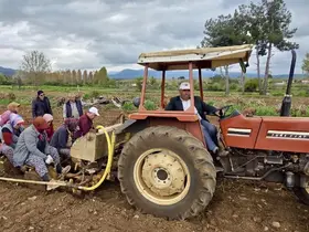 Başkan Pütün tütün sezonun başlamasıyla birlikte üreticiyle tarlada buluştu
