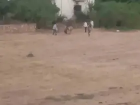 Batman’da huysuzlanan inek sahibini yaraladı
