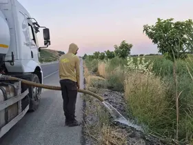 Batman’da Yeşil Kuşak Projesi kapsamında meyve fidanlarına özenli bakım
