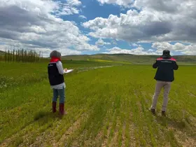 Bayburt’ta ÇKS ürün beyanı kontrolleri başladı
