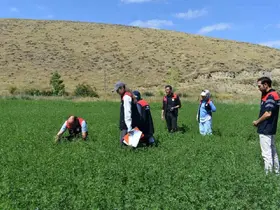 Bayburt’ta üretim planlaması kontrollerinde sona yaklaşıldı
