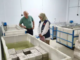 Bayburt’ta yapı denetim laboratuvarına denetim

