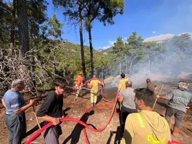 Beşkonak’ta kopan enerji nakil hattı orman yangınına neden oldu
