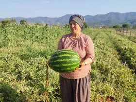 Beyağaç’ta ata tohumundan gelen bereket
