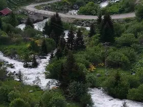 Beyaz örtü kalktı, Rize yaylaları yeşile büründü
