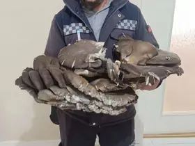 Beyşehir’de doğada bulduğu 10 kiloluk mantar şaşırttı