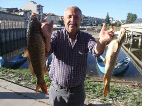 Beyşehir Gölü’nde yeni av sezonu açıldı, ilk balıklar tezgahlara ulaştı