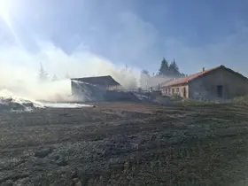 Beyşehir ve Hüyük'te çıkan anız yangınları paniğe neden oldu