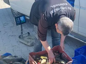 Beyşehir’de avcılara yakın takip