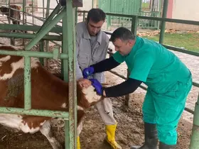 Beyşehir’de hayvan sağlığını koruma çalışmaları
