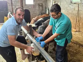 Beyşehir’de şap aşısı mesaisi sürüyor
