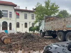 Bilecik Valiliği bahçesindeki dev çam ağaçları kesildi
