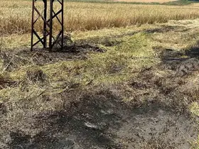 Bilecik’te anız yangını
