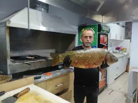 Bilecik’te dev sazan balığı yakalandı

