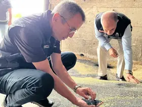 Bilecik’te kanola ve ayçiçeği alımları hız kazandı

