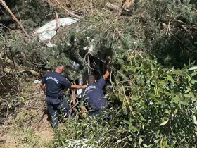 Bilecik’te kontrolden çıkan otomobil şarampole uçtu
