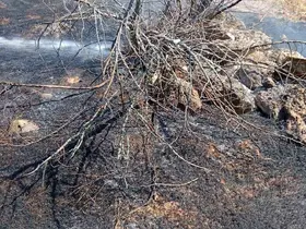 Bilecik’te köy yakınında ot yangını
