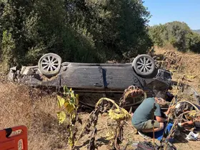 Bilecik’te otomobil tarlaya savruldu: 1 yaralı

