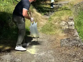 Bilecik’te piknik alanlarında ilaçlama çalışması gerçekleştirildi
