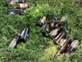 Bilecik’te piknikçiler alanı çöplüğe çevirdi: Doğa ve kamu malı zarar gördü
