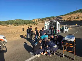 Bingöl’de kamyonet şarampole yuvarlandı: 3 yaralı
