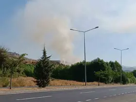Bingöl’de otluk alanda çıkan yangın büyümeden söndürüldü
