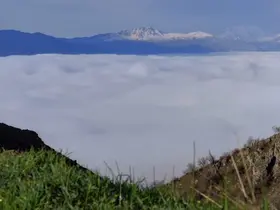 Bir mahalle sis denizinde kayboldu
