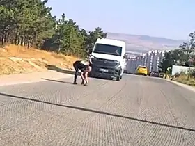 Bir yandan koştu, bir yandan diğer sürücüleri uyardı: Kaplumbağayı ezilmekten kurtardı
