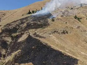 Bitlis’te çıkan örtü yangını itfaiye ve köylüler tarafından söndürüldü
