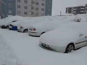 Bitlis’te mart karı 288 köy yolu ulaşıma kapattı
