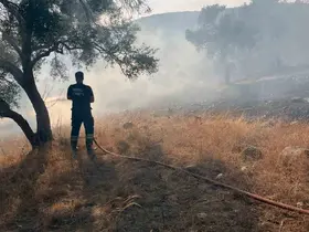 Bodrum-Milas karayolu üzerinde ot yangını
