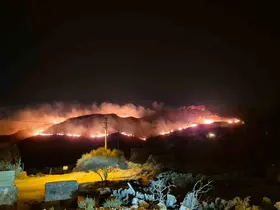 Bodrum’da makilik alanda yangın: "Alevler rüzgarla hızla yayıldı"
