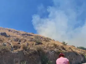 Bodrum’da makilik yangını
