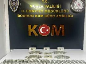 Bodrum’da sahte dolar operasyonu: 46 bin 200 dolar ele geçirildi
