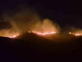 Bodrum’da yangın kontrol altına alındı
