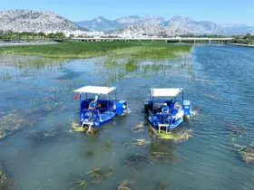 Boğaçayı sucul otlarla kaplandı, "Caretta" ve "Mavi Yengeç" göreve başladı
