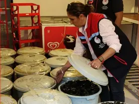 Bolu’da 650 kilo kaçak midye ele geçirildi
